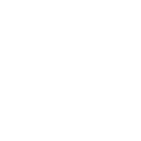 專題